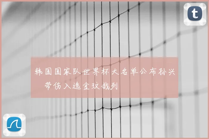 韩国国家队世界杯大名单公布孙兴慜带伤入选金玟哉列