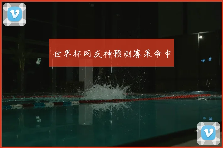 世界杯网友神预测赛果命中